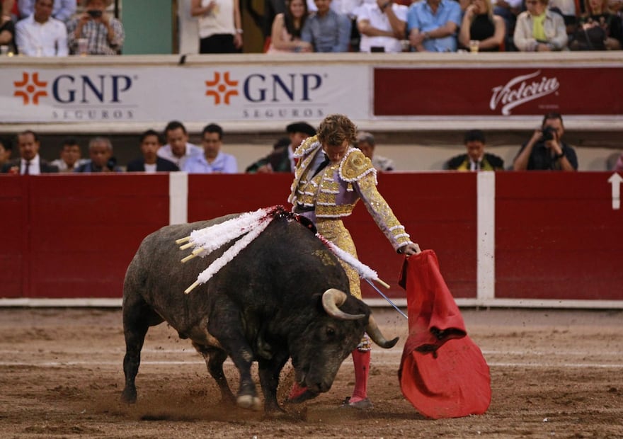 Galanes que conquistaron el corazón de Belinda 