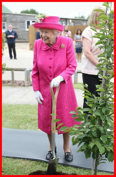 Isabel II en una foto de 2019 / AP