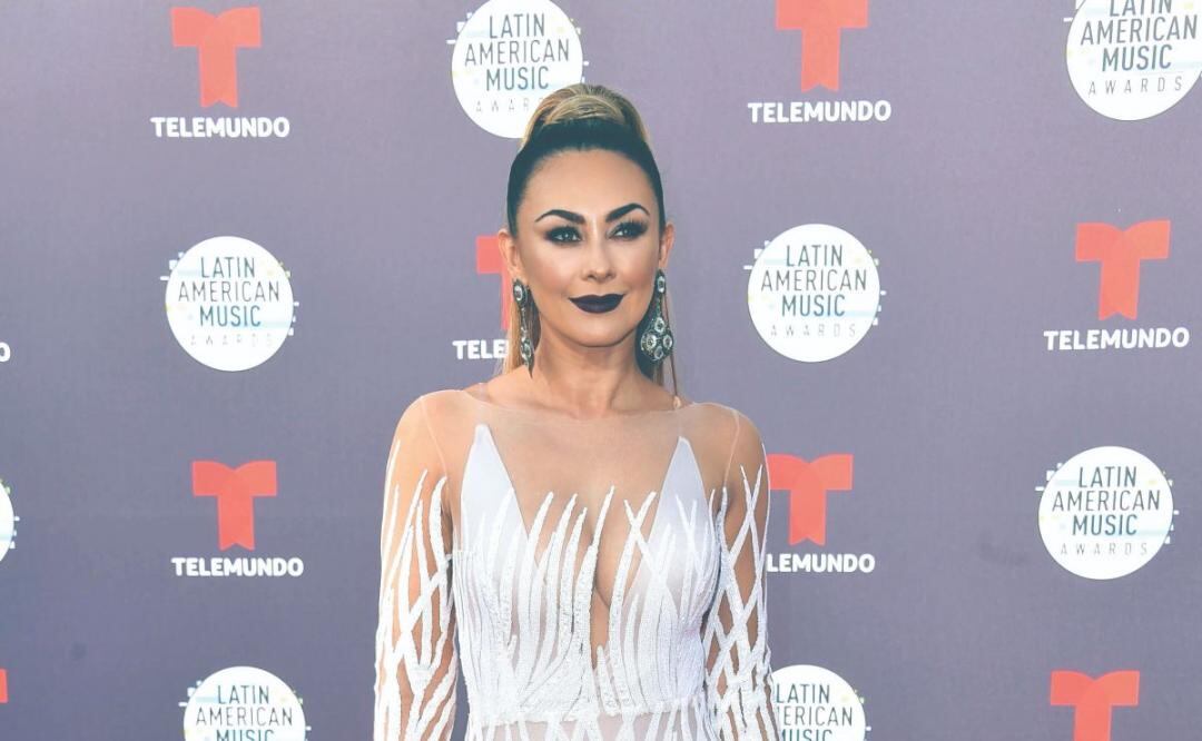 Aracely Arámbula reacciona por el cumpleaños 52 de Luis Miguel