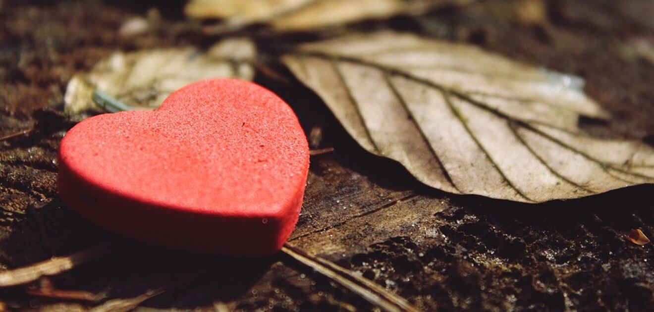 ¿Sabes qué es una cadena de gratitud?