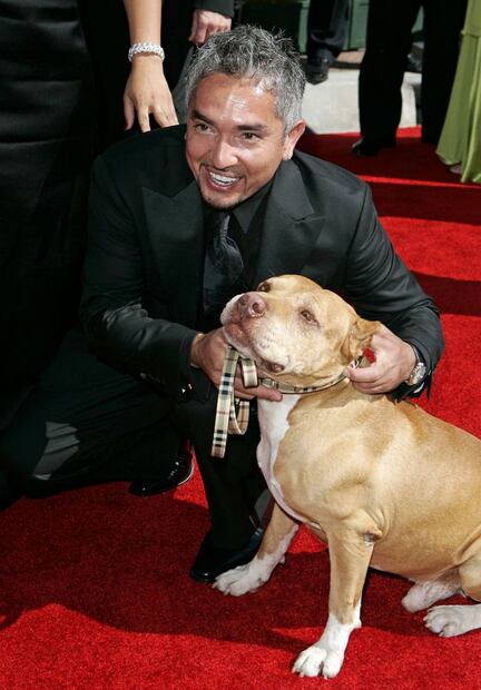 César Millán quiere ayudar a Joe Biden con la educación de sus perros