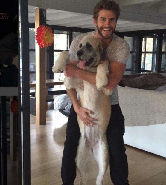 Las fotos de reconciliación entre Liam Hemsworth y Miley Cyrus 