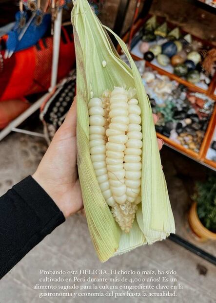 Michelle Salas compartió una fotografía del choclo/Foto: Instagram