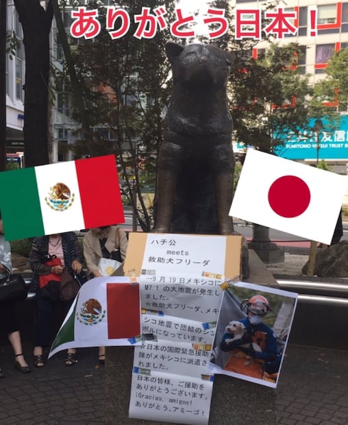 El popular Hachiko rinde homenaje a Frida