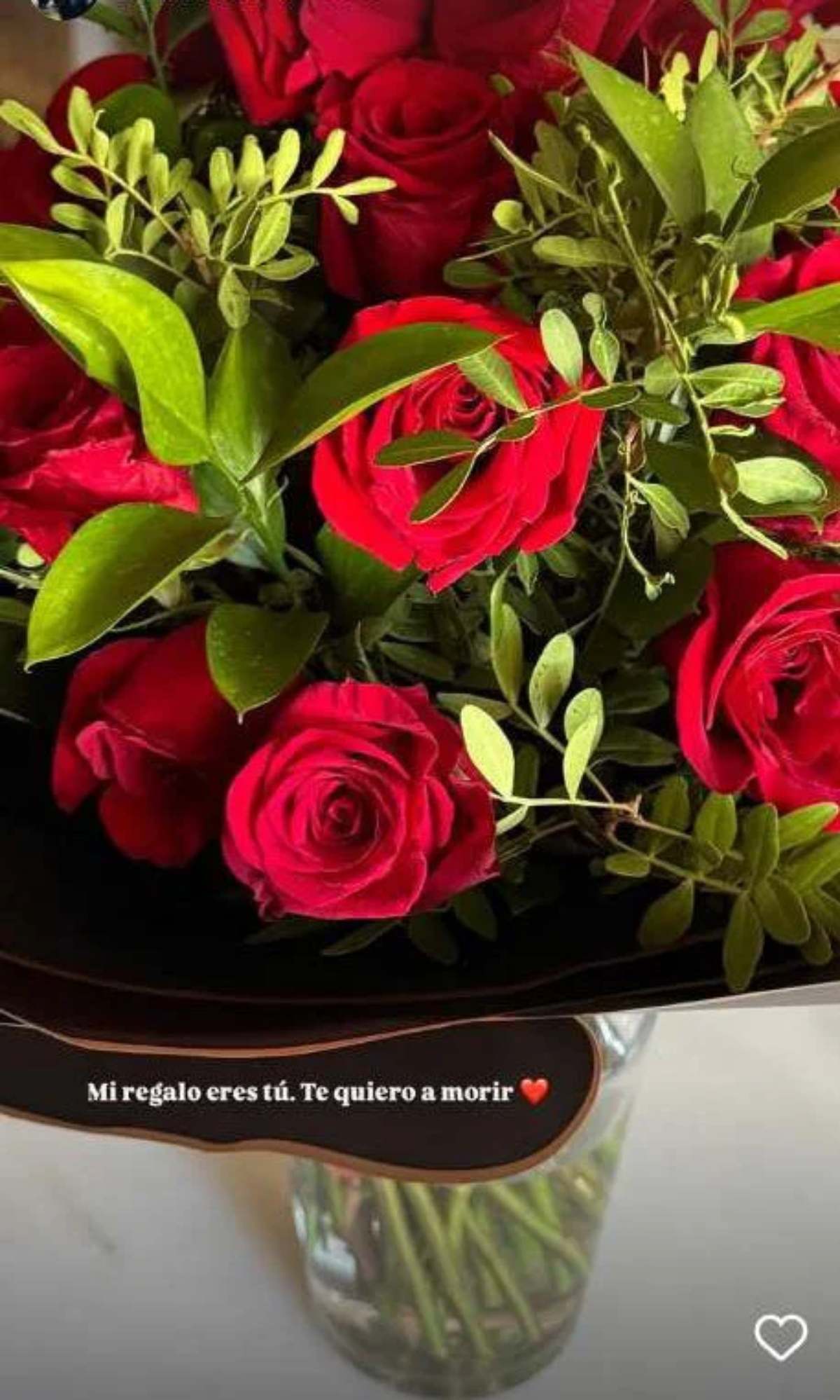 Enrique Ponce y su obsequio a Ana Soria / Foto: Especial @anasoria.7