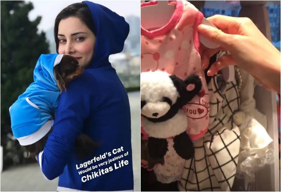 Deborah Hung organiza lujosa fiesta para Chikita Chanel, su mascota
