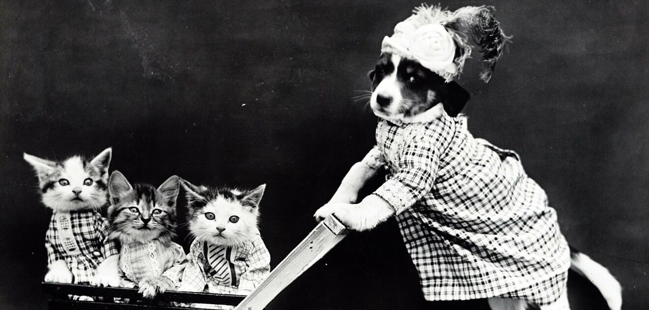 ¿Y tú fluyes o empujas?