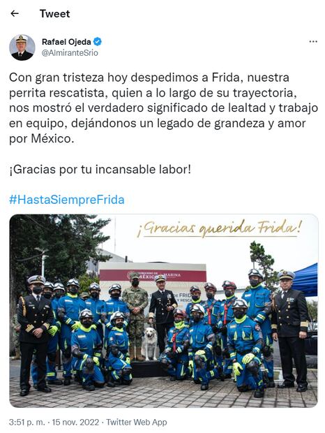 Fallece Frida, la perrita rescatista del terremoto de 2017