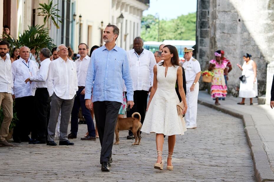 Foto: La reina Letizia y el rey Felipe con un perro callejero se hace viral