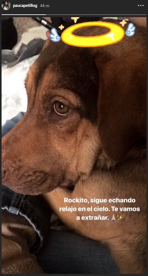 Video: La conmovedora despedida de Ale y Ana Paula Capetillo tras la muerte de su perro 