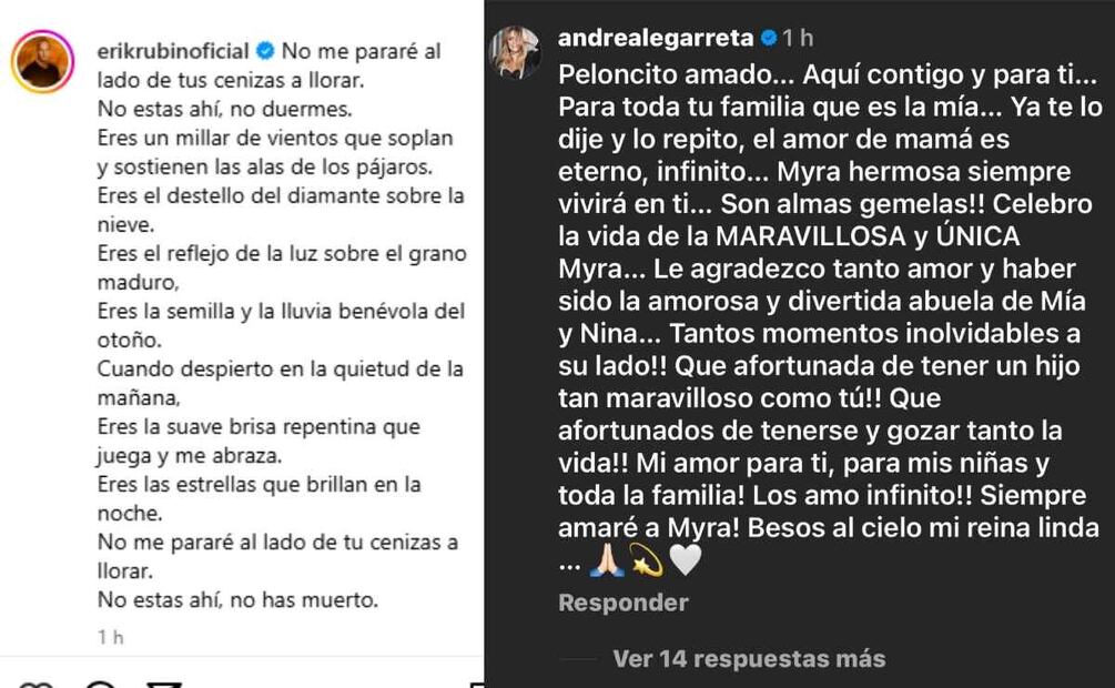 El mensaje que dedicó Andrea Legarreta a Erik Rubín / Foto: Instagram