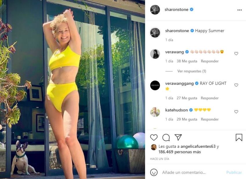 ¡Más sexy, imposible! Sharon Stone, de 63 años, presume su figura en bikini 