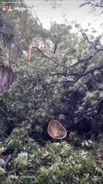 Cayó un árbol en casa de Sergio Mayer e Issabela Camil tras fuerte lluvia