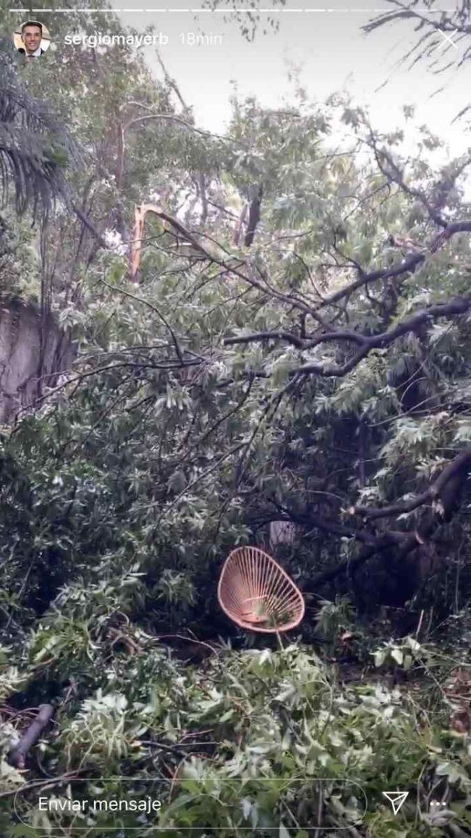 Cayó un árbol en casa de Sergio Mayer e Issabela Camil tras fuerte lluvia