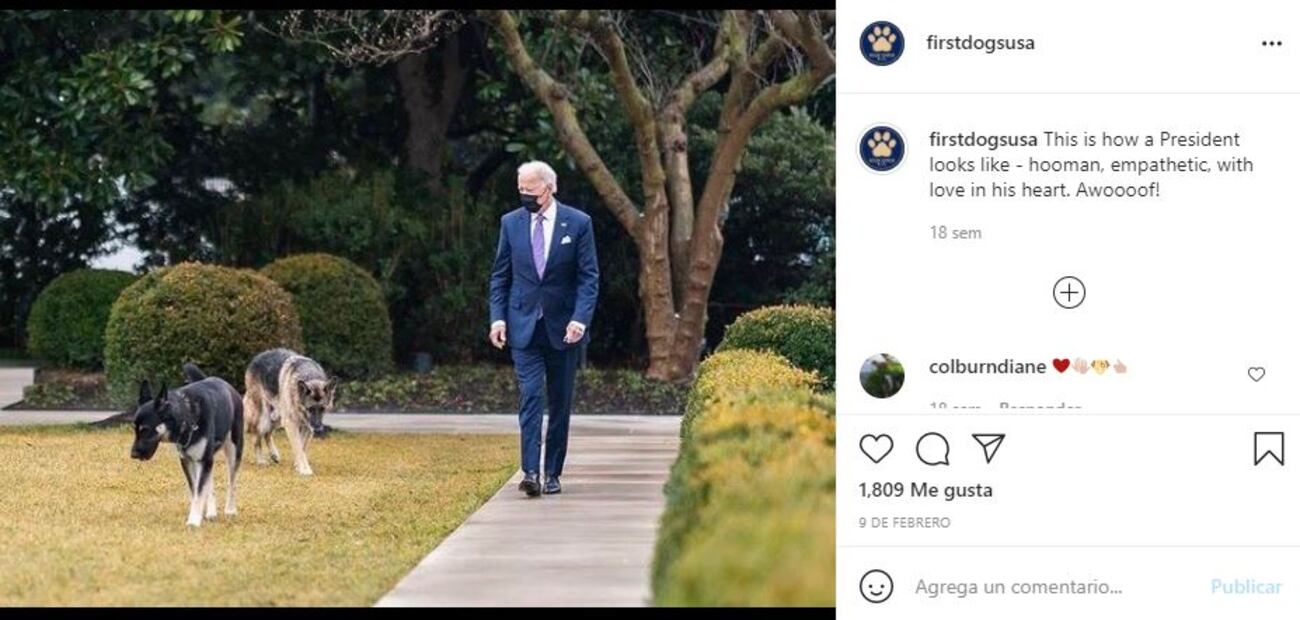Joe Biden y su esposa Jill dedican conmovedora carta a "Champ", su perro