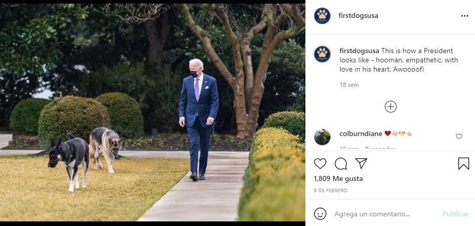 Joe Biden y su esposa Jill dedican conmovedora carta a "Champ", su perro