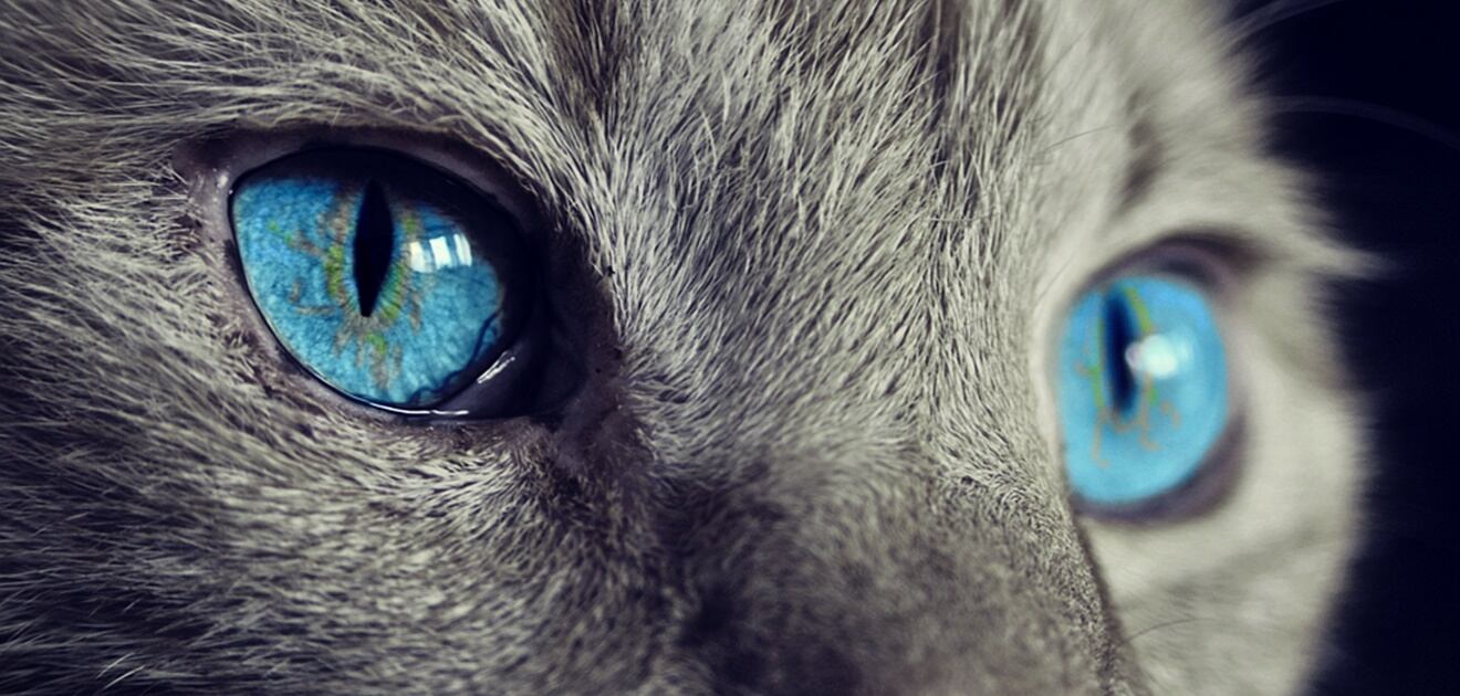 ¿Cómo dejar de ver en negativo?