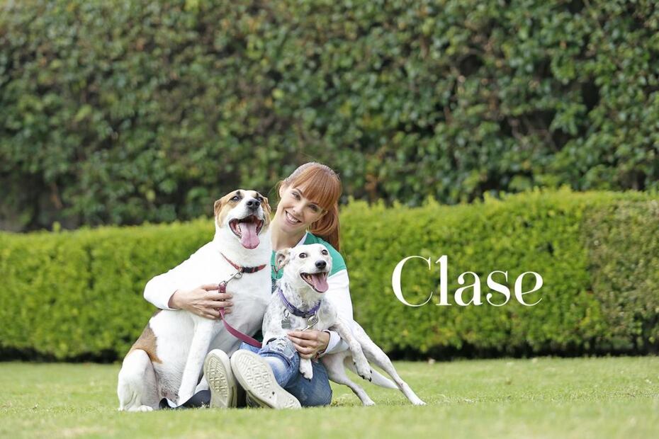 Mascotas con Clase: Fran Meric y sus amigos de cuatro patas