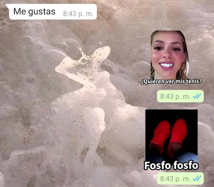 Los mejores memes de “fosfo, fosfo”, la escena viral entre Samuel García y Mariana Rodríguez