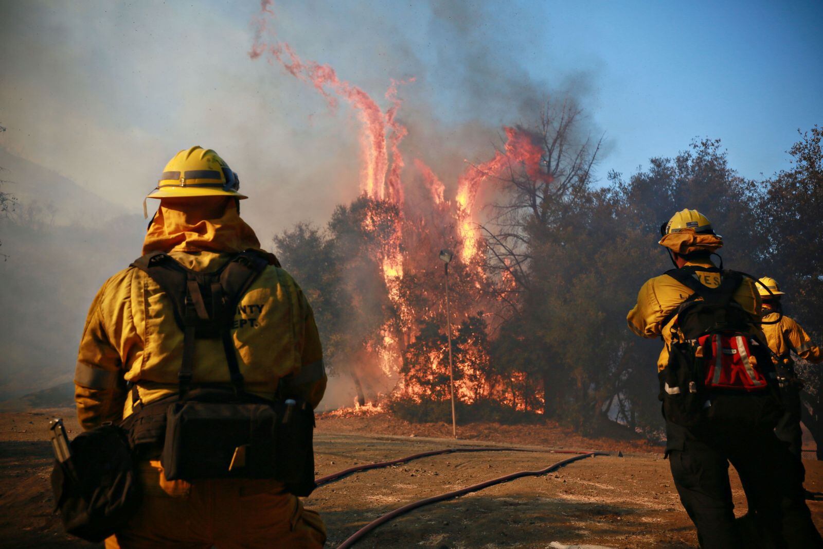 Miley Cyrus y Gerard Butler no fueron las únicas celebridades afectadas por los incendios de California