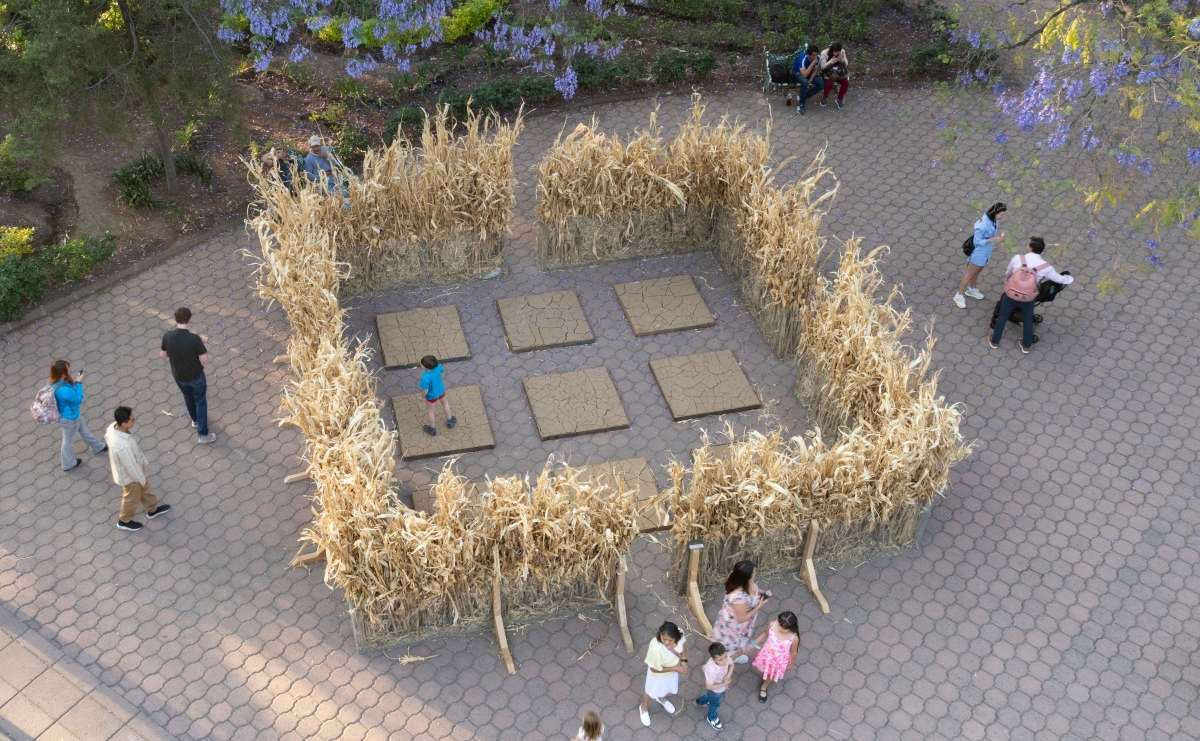 Así se vivirá el FYJA 2026 / Foto: Cortesía