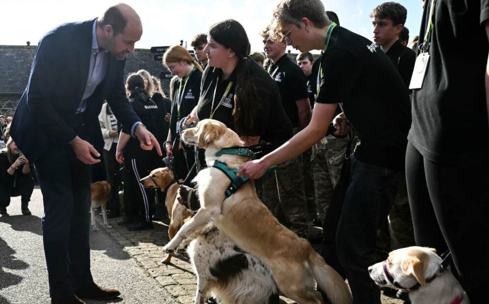 El príncipe William es recibido por un perro del departamento de manejo de animales durante su visita al Duchy College Stoke Climsland en Callington / Foto: AP