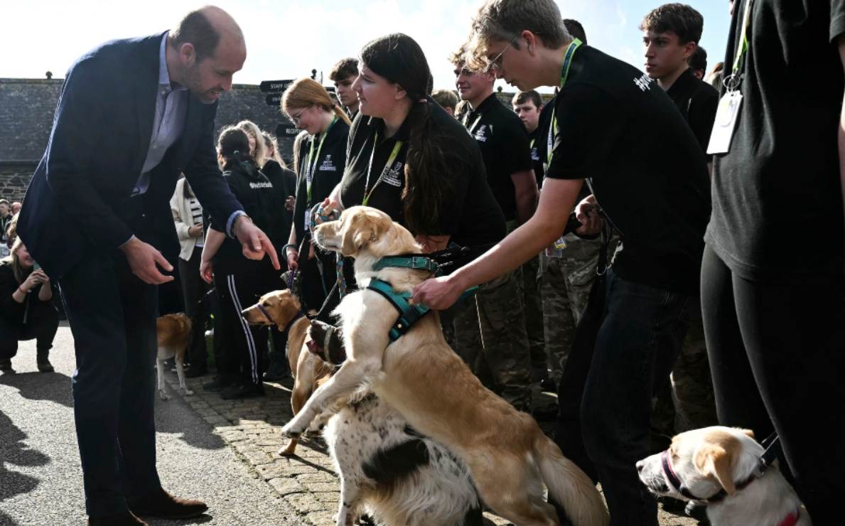 El príncipe William es recibido por un perro del departamento de manejo de animales durante su visita al Duchy College Stoke Climsland en Callington / Foto: AP