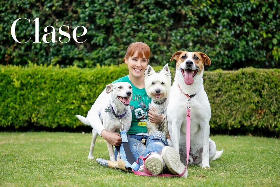 Mascotas con Clase: Fran Meric y sus amigos de cuatro patas