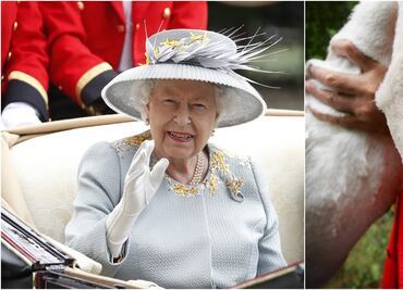 Comienza la ceremonia: Buckingham cuenta los cisnes de la reina Isabel II