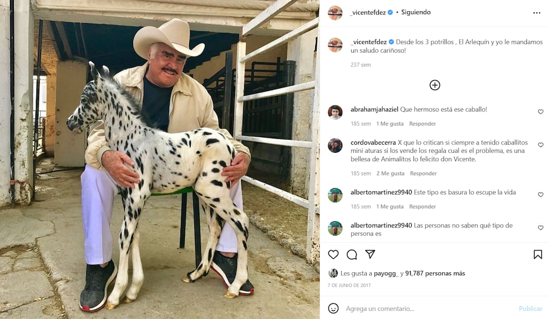El exitoso negocio de Vicente Fernández con los caballos miniatura