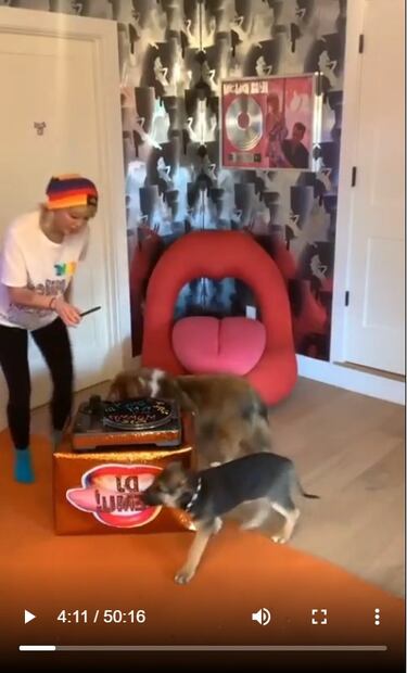 Miley Cyrus adopta perro abandonado en crisis del coronavirus