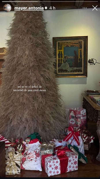 El árbol de navidad de la familia de Issabela Camil y Sergio Mayer / Foto: Captura