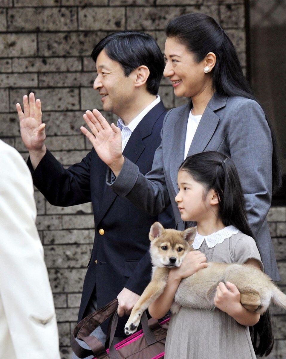 Yuri, el perro adoptado que aceptó la familia real de Japón