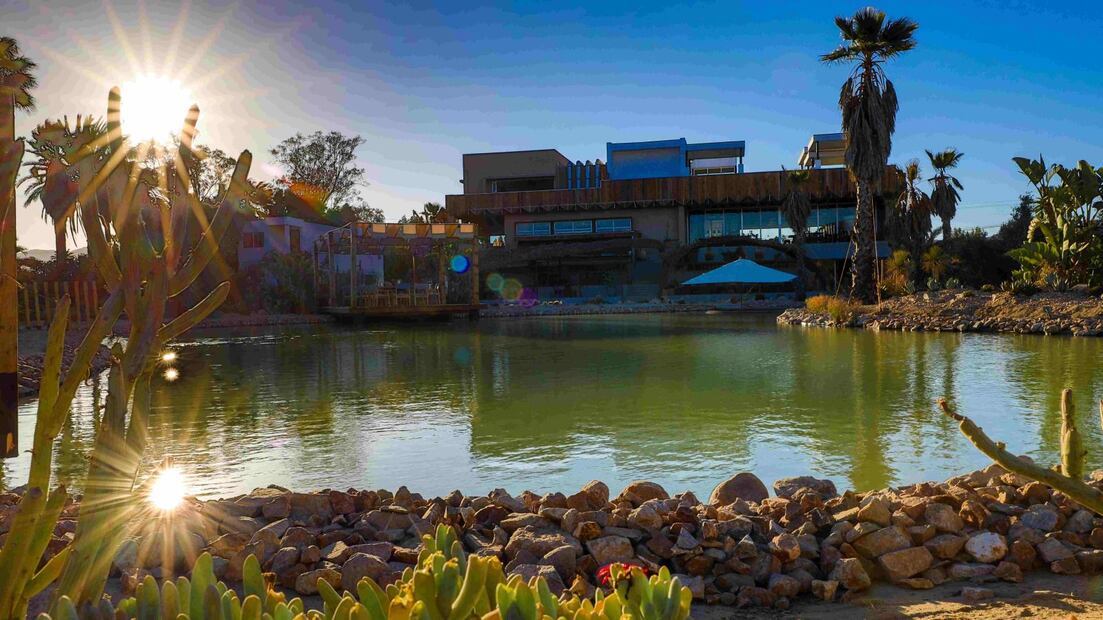 Salvaje, el nuevo food trend en Valle de Guadalupe, Baja California