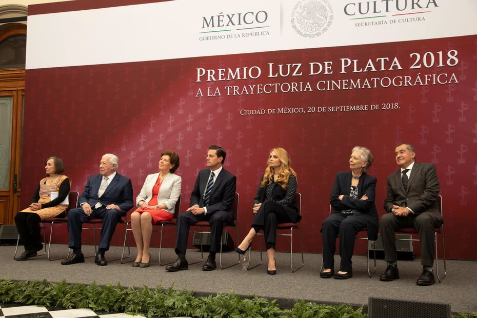 Angélica Rivera a Enrique Peña Nieto: "Te casaste con una actriz"