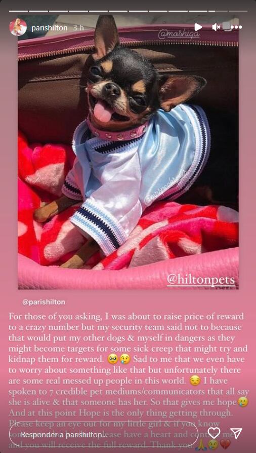 Paris Hilton devastada, ha buscado ayuda de 7 médiums para encontrar a su perrita desaparecida