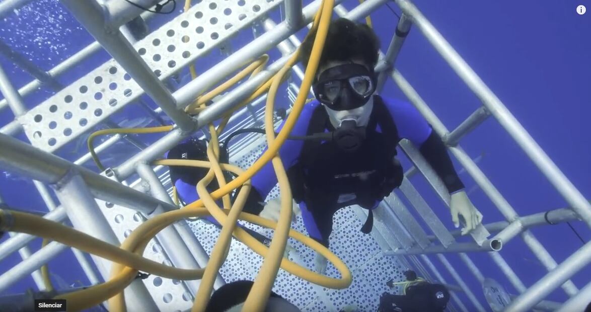 No te puedes perder el video de Juanpa Zurita nadando con tiburones