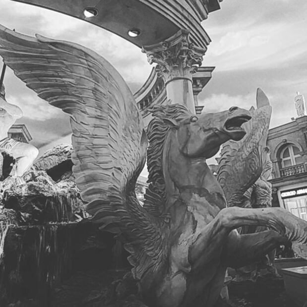 La foto de Alejandro Fernández de la que todo el mundo está hablando