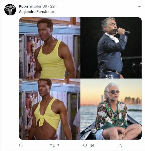 Los memes de Alejandro Fernández y su look con flores y melena al viento