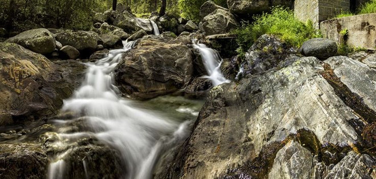 Déjate arrullar por la vida