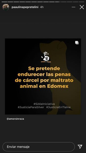 Eugenio Derbez y Pau Peña piden justicia por perrito asesinado en Tlalnepantla