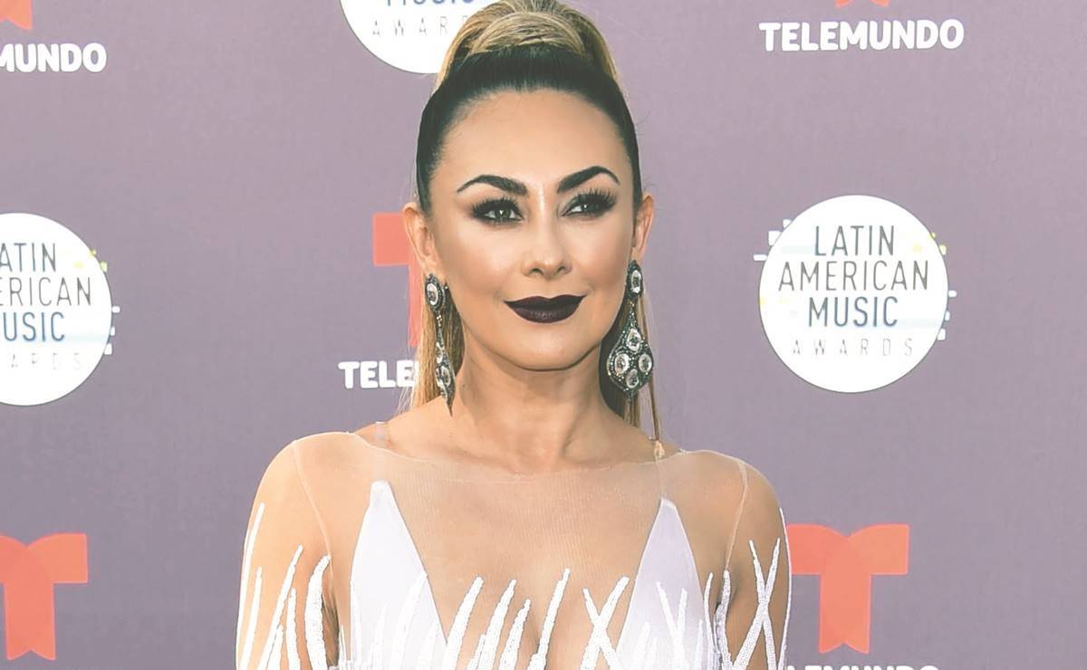 Aracely Arámbula ¿planea demandar a Luis Miguel otra vez?