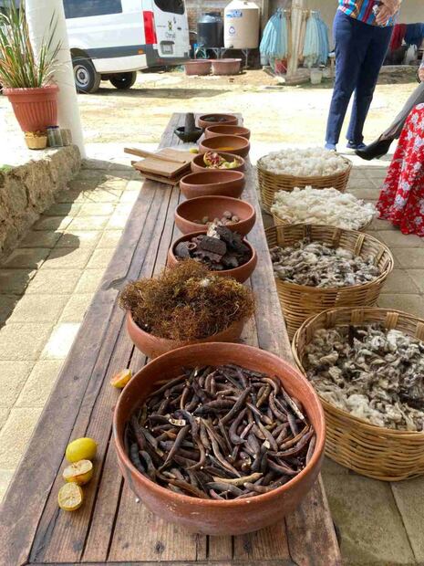 Chocolate, Mezcal y Mole… ¡Oaxaca!