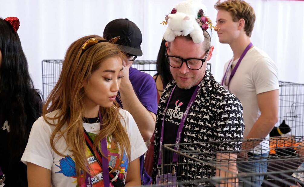 Macaulay Culkin y Brenda Song se comprometen en matrimonio