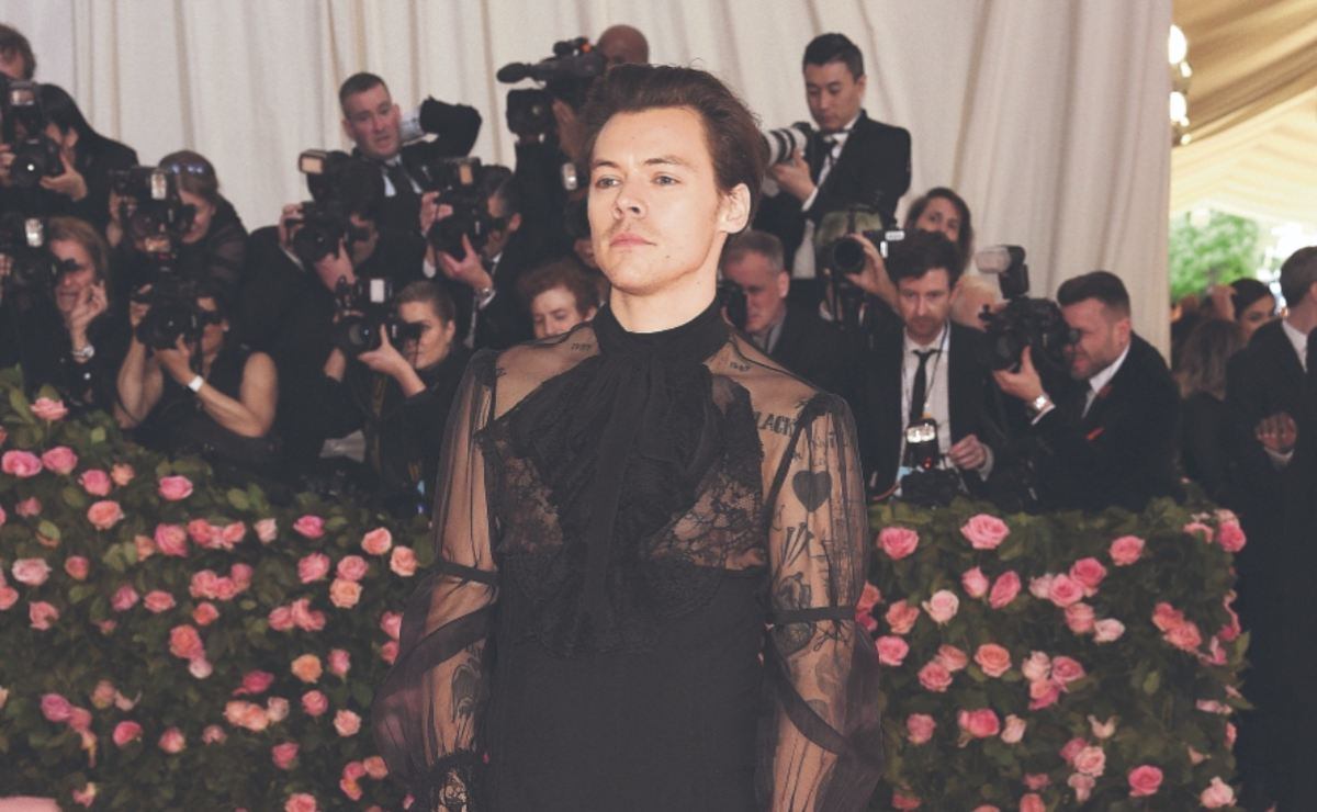 Harry Styles ¿por lanzar marca de belleza?