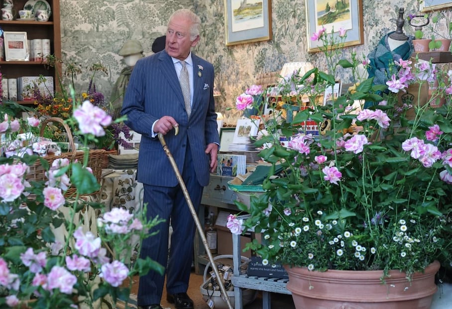 El rey Carlos III en el Chelsea Flower Show / Foto: AFP - Toby Melville