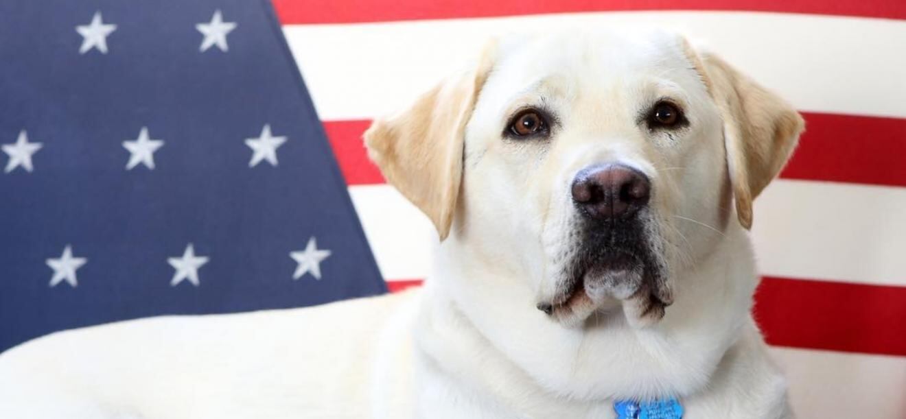 <p>Fotos Instagram</p>
