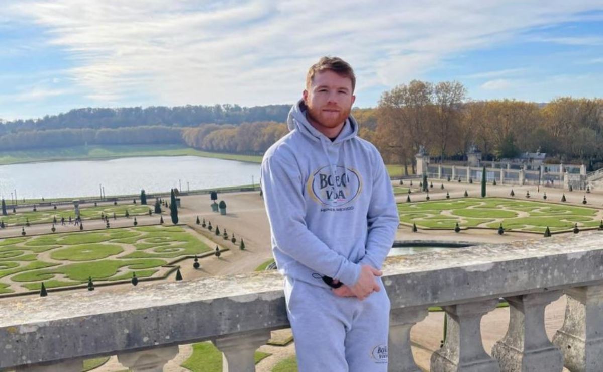 Saúl “Canelo” Álvarez adquiere gato de casi 20 mil pesos