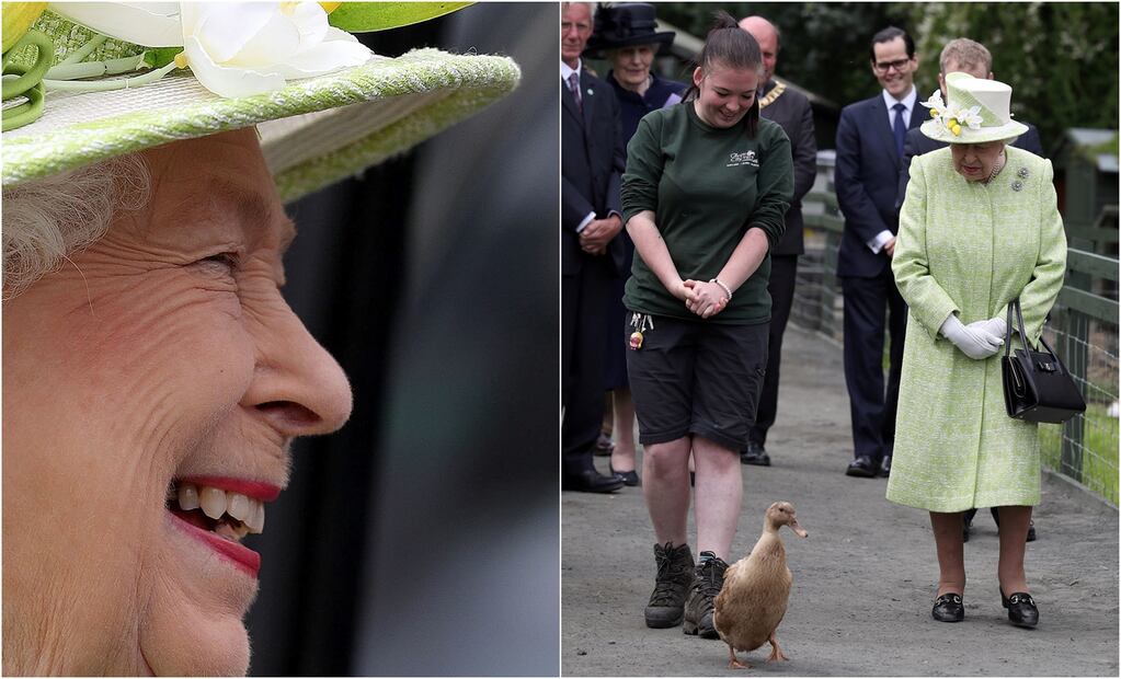 Comienza la ceremonia: Buckingham cuenta los cisnes de la reina Isabel II
