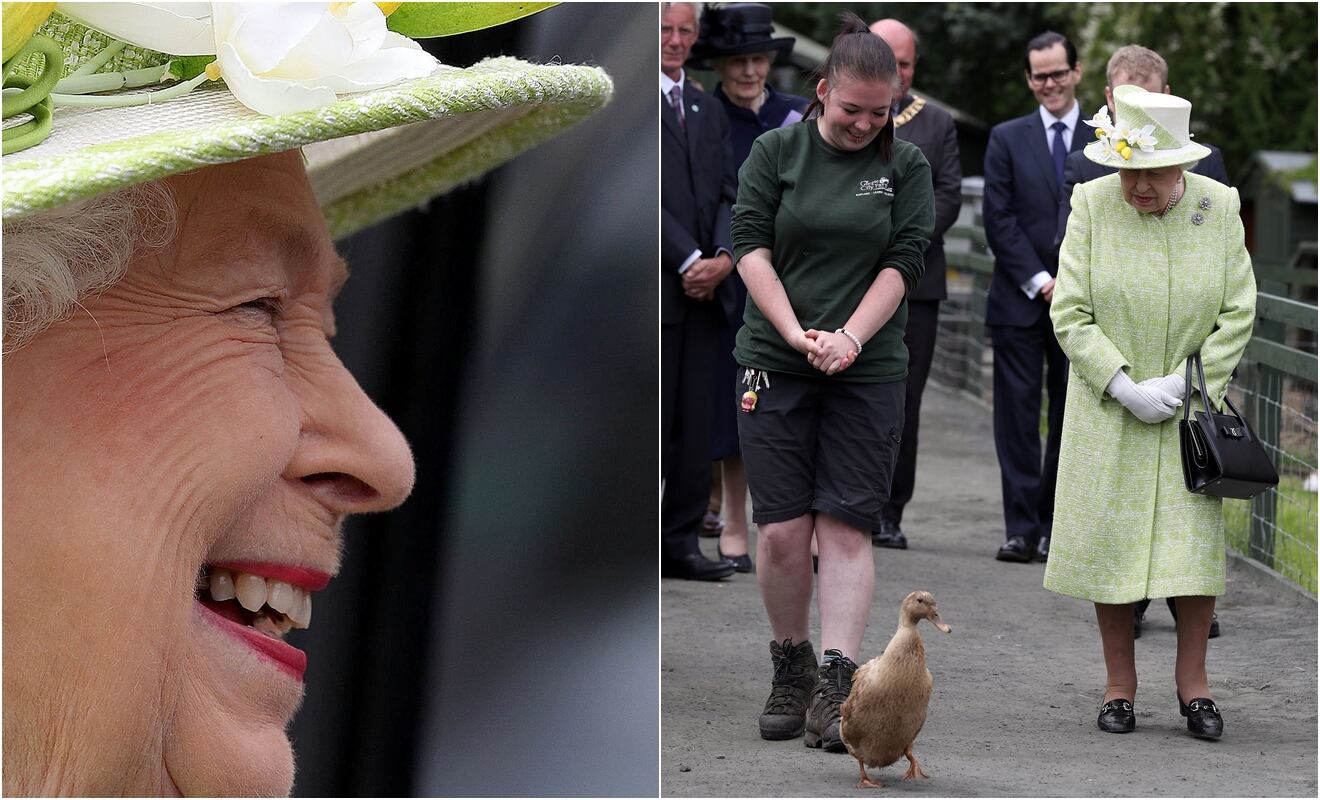 Comienza la ceremonia: Buckingham cuenta los cisnes de la reina Isabel II